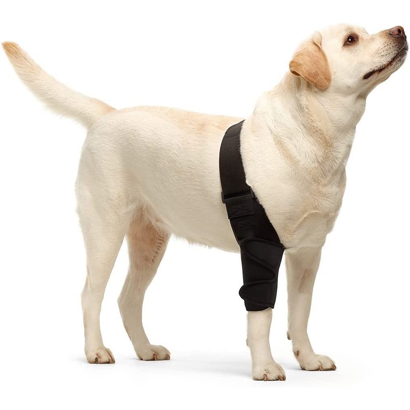 Dog Knee Brace Dog Leg Brace for Torn acl Hind Leg Dog Hip Support Brace for Luxating Patella Better Recovery With Dog ACL Knee Brace, Adjustable Rear Leg Braces For Dogs, Pet Knee Brace Black X-Small