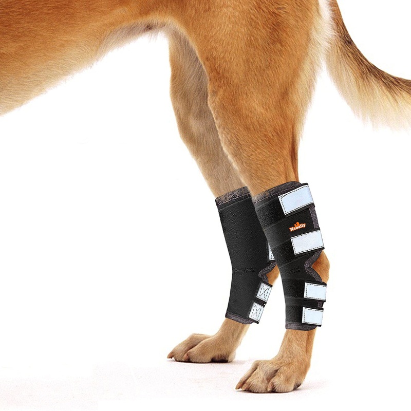 NeoAlly Dog Hind Leg Braces [Long Pair] Canine Rear Leg Hock Sleeves with Safety Reflective Straps for Joint Injury and Sprain Protection, Wound Healing and Arthritis (Small Long Pair) S Black