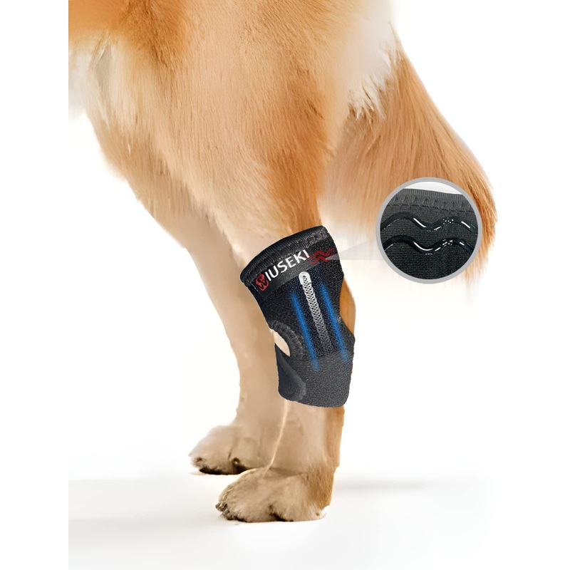 wiuseki Dog Leg Brace Dog Canine Rear Hock Joint Brace,with Metal Spring,Lightduty Hock Ankle Brace for Short Legs Help Mildly Hind Leg with Injuries Sprains Arthritis Wounds Recovery(1 Pcs, M) 1 Pcs Medium