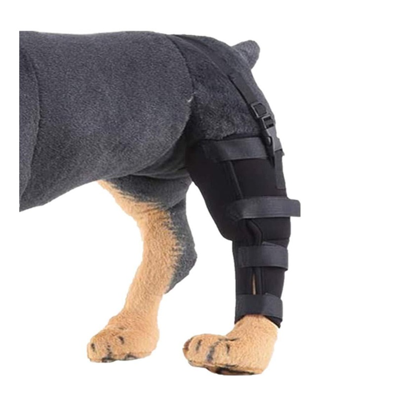 WXFEXIA Dog Rear Left Hind Leg Joint Brace – Canine Wrap Protects Wounds Heal Support Due to Arthritis to Prevent Injury and Sprains or Walking (1 Pcs, L)
