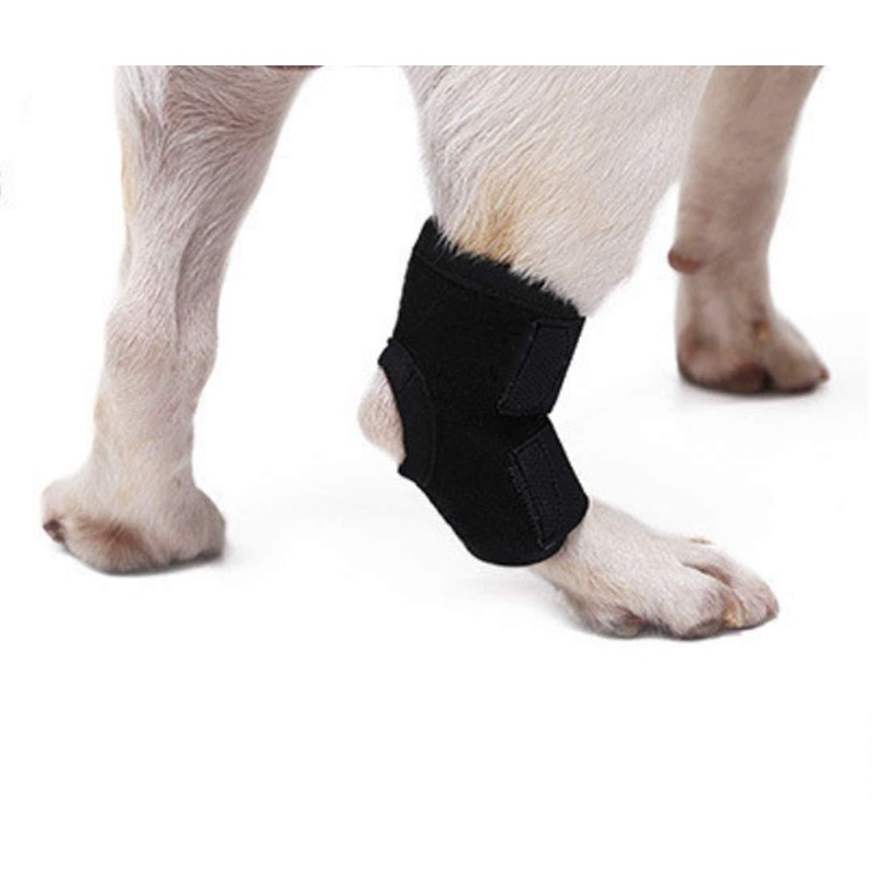 WXFEXIA Dog Rear Leg Hock Brace – Canine Wrap Protects Wounds Heal and Sprains Support Due to Arthritis to Prevents Injuries and Sprains or Walking (1 Pair, S)