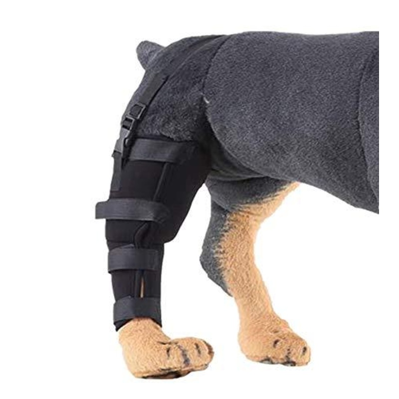 WXFEXIA Dog Rear Right Hind Leg Joint Brace – Canine Wrap Protects Wounds Heal Support Due to Arthritis to Prevent Injury and Sprains or Walking(1 Pcs, M)