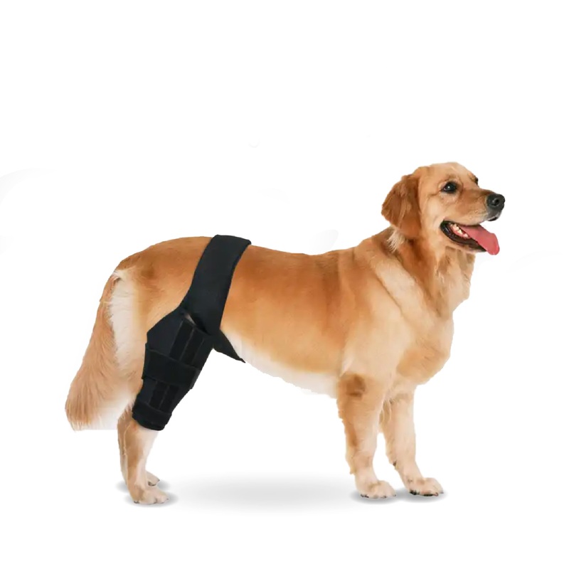 Yuksito Dog Knee Brace for Torn ACL Hind Leg, Dog Knee Brace for luxating patella, Dog Arthritis Brace, Dog Leg Brace Maintains Joint Warmth and Stability, Alleviates Pain Reduces Inflammation (Large) Large
