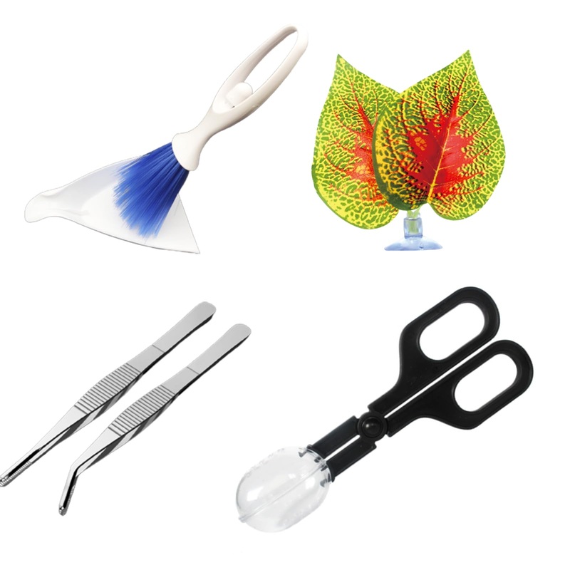 5Pcs Reptile Supplies Set, Include a Reptile Feeding Tongs, Two Stainless Steel Tweezers, Mini Dustpan, Brush and Leave for Hamsters, Turtle, Chameleon, Snake, Spider and Other Small Animals