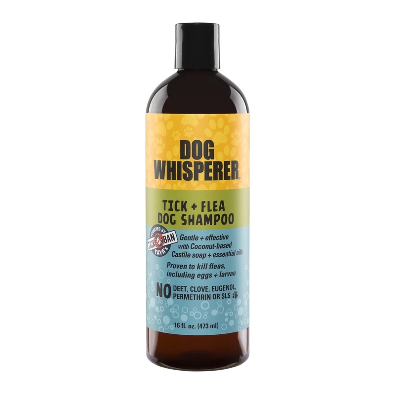 Dog Whisperer Flea Buster Dog Shampoo, Proven Effective, Made with Coconut-Based Castile Soap and Essential Oils (16 Ounces)