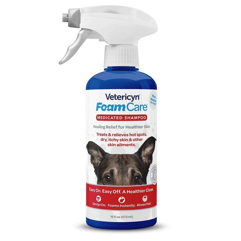 FoamCare Medicated Pet Shampoo by Vetericyn | Sensitive Skin Shampoo for Dogs, Cats, and All Animals – Anti-Itch, Promotes Healthy Skin and Coat – Hypoallergenic  Instant Foam Shampoo  16-ounce Medicated Shampoo