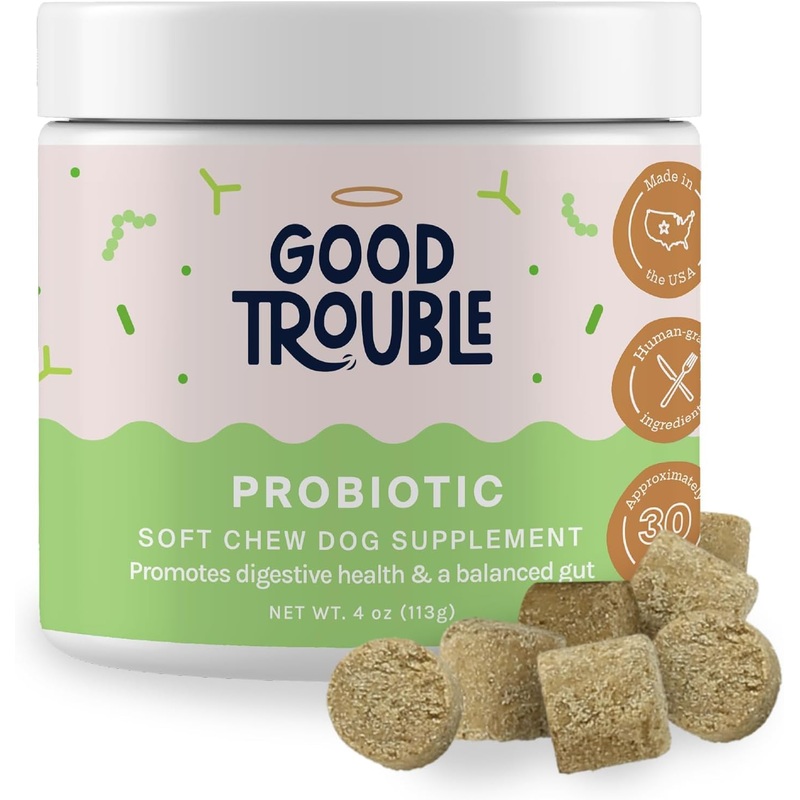 Good Trouble Pets Probiotic Supplement for Dogs – Chicken Flavor, 30 Chews – Enhanced Digestive Support (Packs of 3) Probiotic Blend (Chicken Flavor) 3 pack