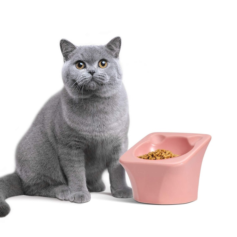 ComSaf Ceramic Raised Cat Food Bowl, Elevated Tilted Pet Feeding Bowl, Non-Slip Kitten Feeder for Food Water, Pink Cat Dish, 90ml