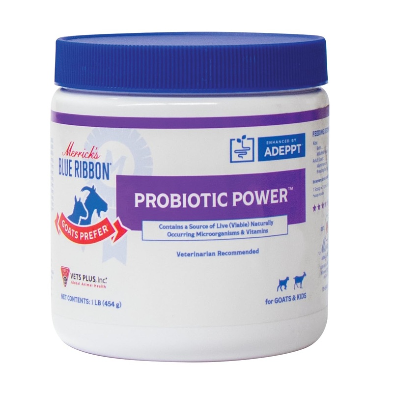 Goats Prefer Probiotic Power Goat Probiotic – Vitamin Supplement for Stress Management & Gut Health  Suitable for All Ages