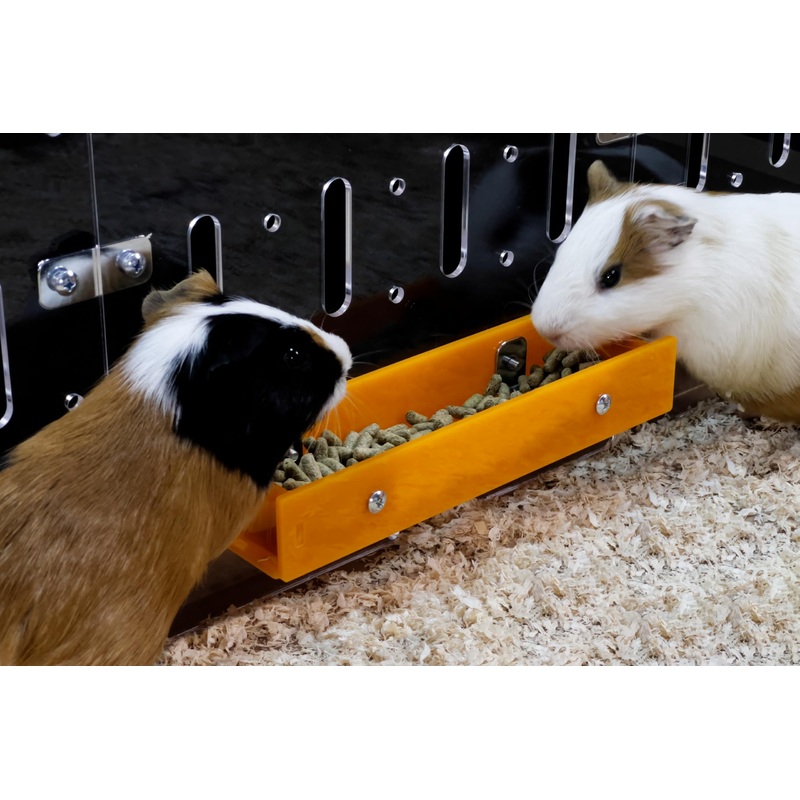GuineaLoft Food Feeder Yellow – Say Goodbye to Traditional Bowls! Ultimate Feeder for Small Pets Like Guinea Pigs, Rabbits and Chinchillas. Designed & Made by Seasoned Owners – GuineaLoft Exclusive