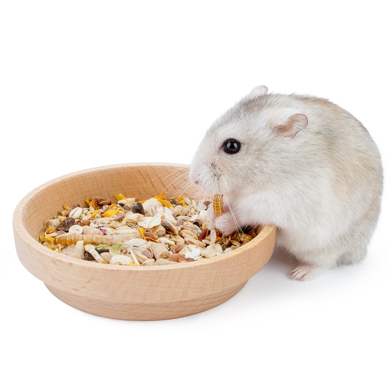 Niteangel Wooden Hamster Feeding Bowl – Small Animal Food Dish for Dwarf Syrian Hamsters Gerbils Mice Degus or other Similar-sized Small Pets (No Pattern, for Dwarf) No Pattern