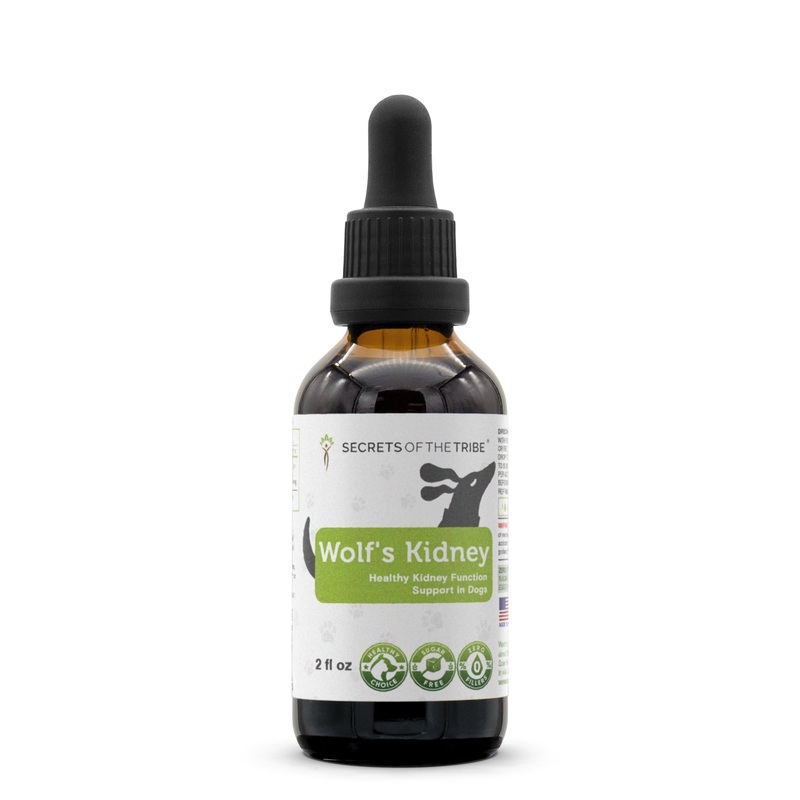 Wolf’s Kidney | Natural Herbal Dietary Supplement | Healthy Kidney Function Support in Dogs | Alcohol-Free Extract, Rehmannia, Ginkgo, Echinacea, Marshmallow, Couch Grass, Hawthorn, Uva Ursi 2 oz