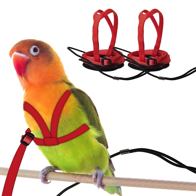 2 pcs Pet Parrot Bird Harness and Leash, Adjustable Training Design Anti-Bite, Outdoor Flying Training Rope Kit for Bird Parrots Fits Birds Chest Between24-51cm /9.45-20inch – M (red red