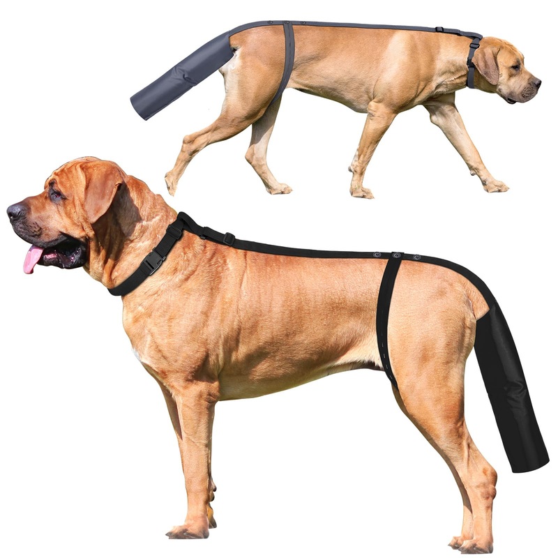 2 Pieces Dog Tail Protector Cover for Wounds, Dogs Tails Heal Sleeve, Dog Wound Care for Medium and Large Dogs to Assist in Recovery from Injury, Tail SizeL 14.9-16.5″, Diameter 4.7-5.3″ Tail L 14.9-16.5″, Diameter 4.7-5.3″