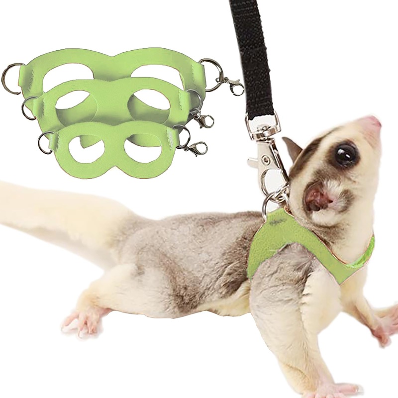 3 Pack Sugar Glider Harness and Leash Set Small Animal Training Walking Vest for Squirrel Hamster Rat-Green Green