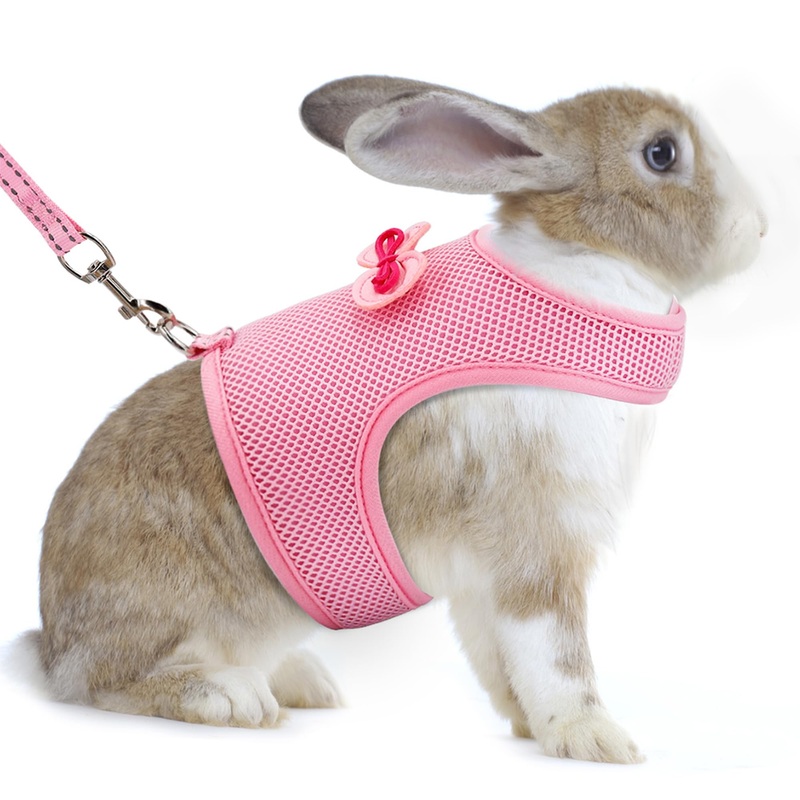 AIITLE Bunny Harness and Leash Set, Soft Breathable Mesh Vest Harness with Cute Bow for Rabbits Kitten Ferret Small Pig Puppy Walking Supplies Pink M Medium