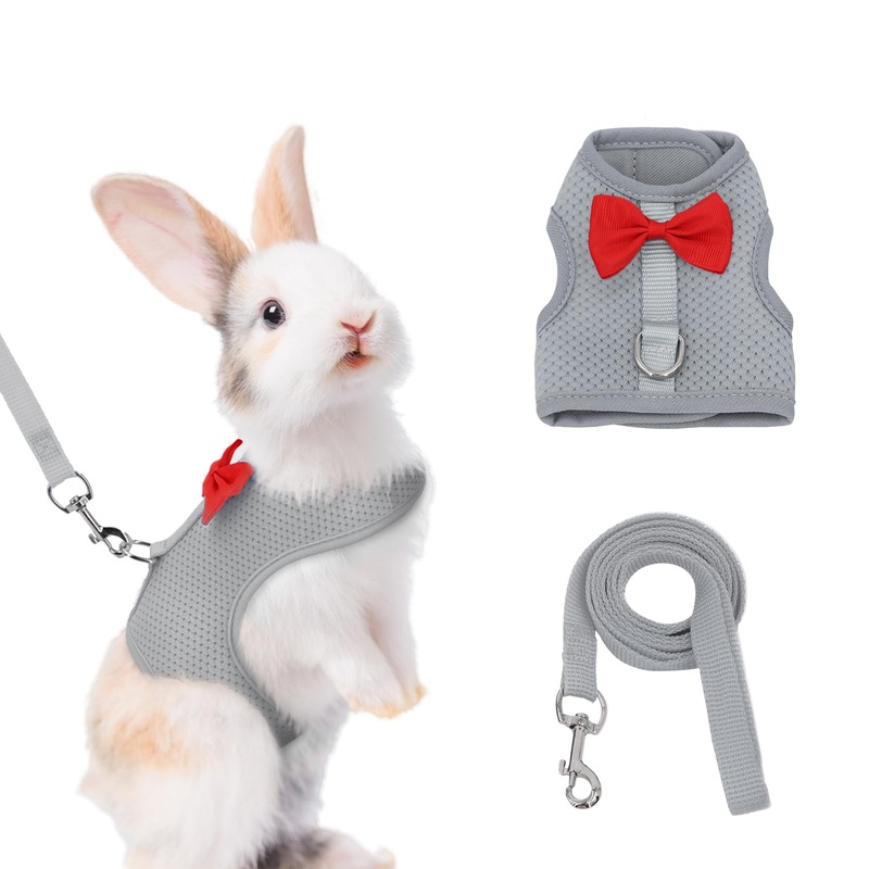 AIITLE Bunny Harness and Leash Set with Cute Bow, Soft Breathable Mesh Vest Harness for Rabbits Kitten Ferret Small Pig Puppy Walking Supplies Grey M Medium