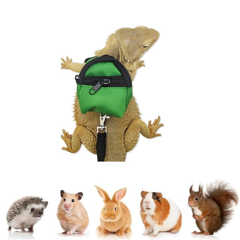 Bearded Dragons Harness Leashes Set Cute Backpack Back to School Design for Small Pets Reptile Lizard Crested Gecko Chameleon Rat Hamster Squrriel Ferret Photo Shoot (Green) Green