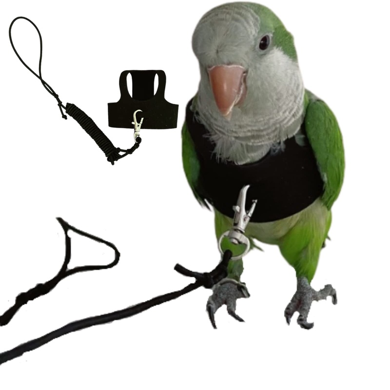 Bird Flight Harness Vest, Parrot Flight Suit with Leash for Parakeets Cockatiels Conures Budgies, Bird Flying Clothes with Rope and Handle for Outdoor Activities Training, Anti Bite (Medium) Medium