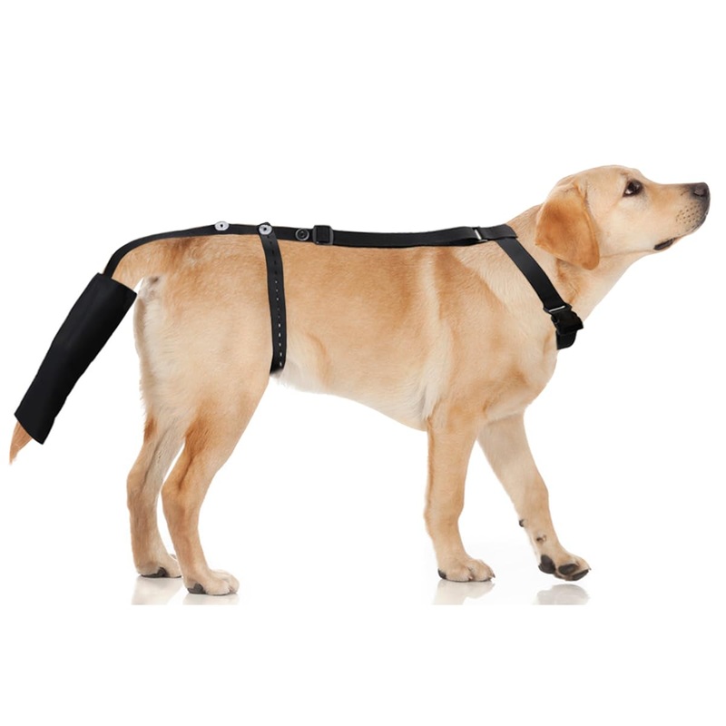 Dog Tail Protector Bag Dogs Tail Guard Sleeve Wound Heal Protector for Pets Animals Dog Happy Tail Syndrome