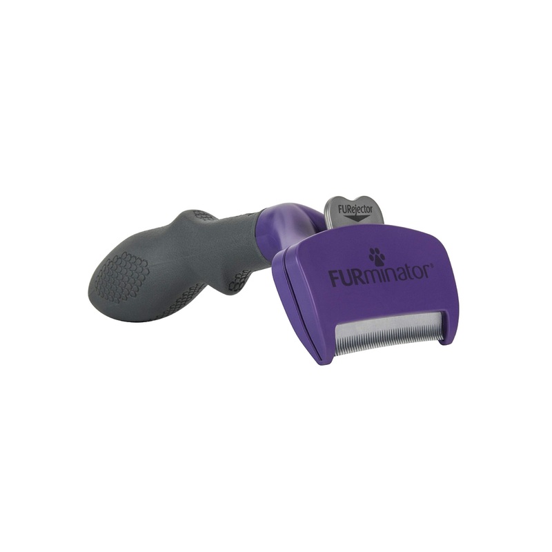 Furminator deShedding Tool for Medium/Large Cats, Short Hair, Removes Loose Hair from Shedding Large Short Hair