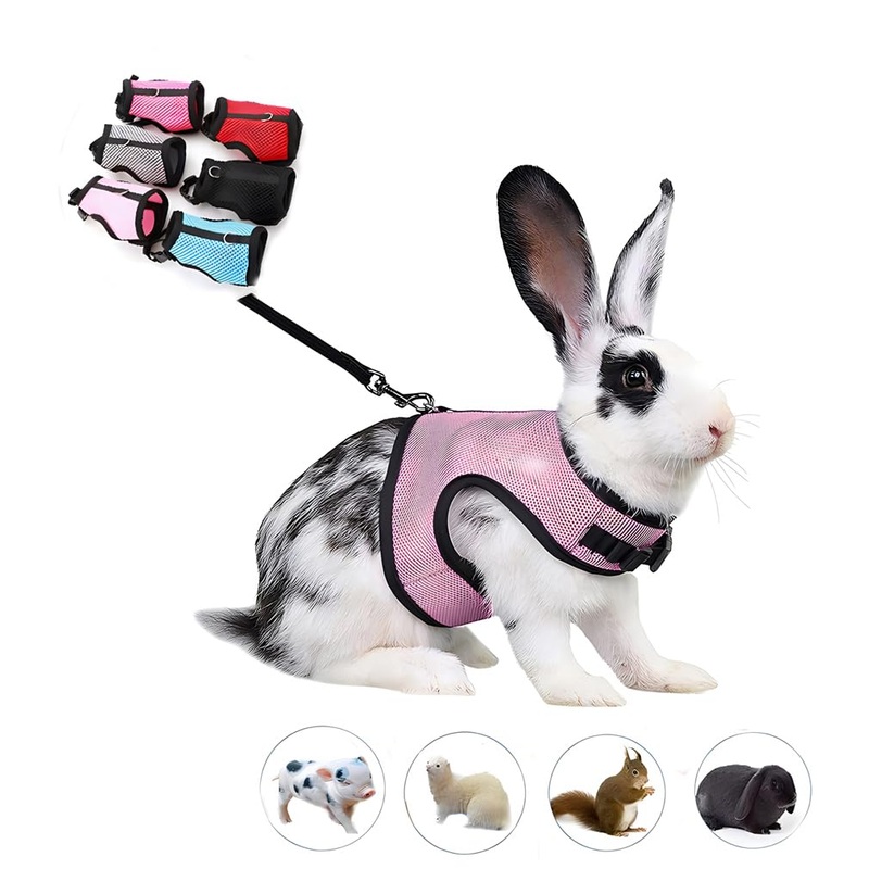 Guinea Pig Harness and Leash Set, Rat Harness and Leash Eescape Proof Walking Training for Small Animal Pets,Pink S Pink S Chest 4.7-6.2″,Suitable Guinea Pig ,Rat