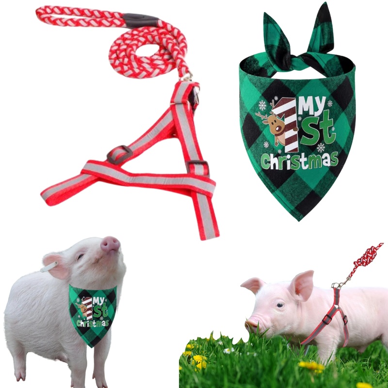 Miniature Pig Harness Leash with Christmas Scarf Set, Mini Pig Harness and Leash, Micro Pig Harness, Pigs Walking Harnesses and Leashes, Training Accessories for Small Hog Piggy Goats Dogs (Red, S) Red