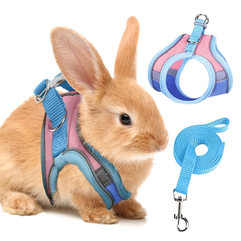 Rabbit Harness and Leash Set with Reflective, Rabbit Vest Harness for Rabbits Ferret Small Pig Puppy Walking Supplies (Blue, Medium) Blue