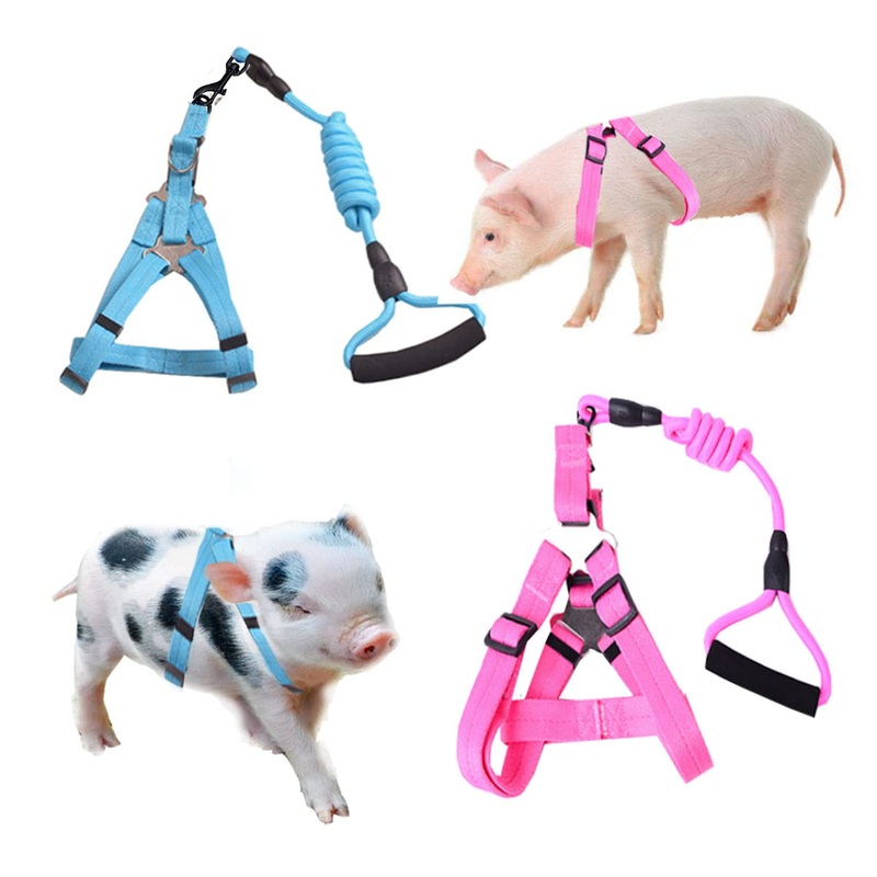 Animal Harness, Medium, Pink and Blue – 2 Pieces Adjustable Harness with Leash Set for Small Pig, Dog, Rabbit Walking, Running and Playing