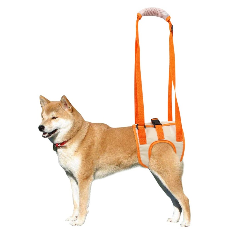 ASTTZN Dog Sling Rear Legs Dog Hind Leg Support Dog Support Harness for Back Legs for Pet Mobility Helps Dogs with Poor Stability Arthritis Joint Injuries (Not Suitable for Large Dog) (M) Medium