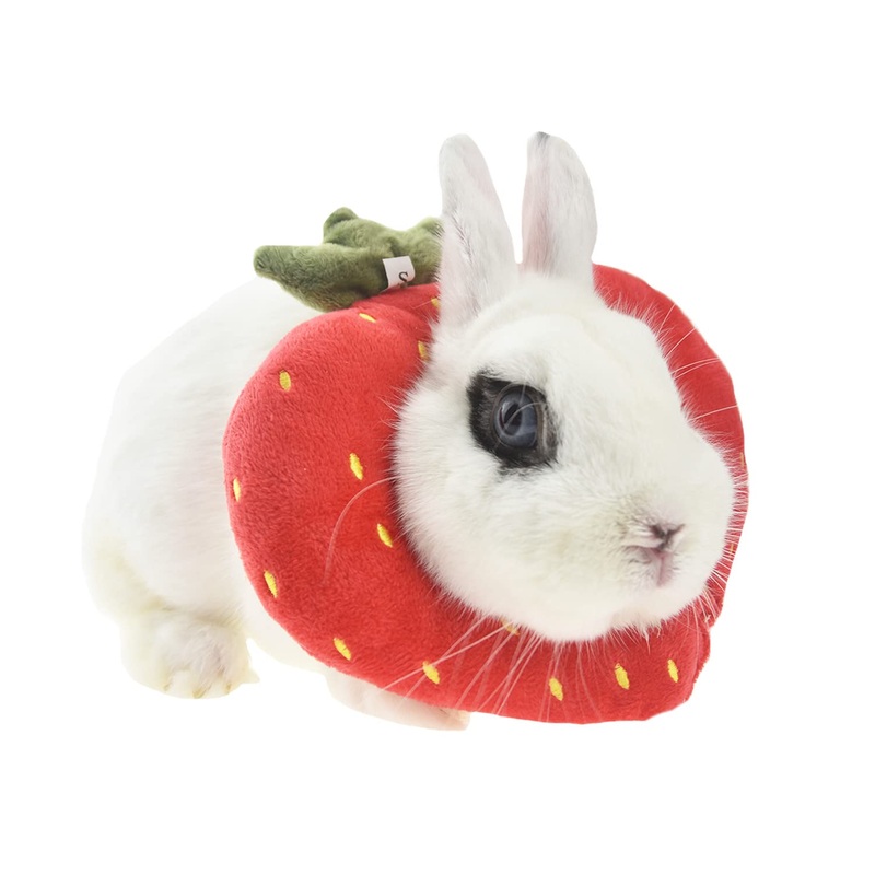 FLAdorepet Rabbit Protection Cone for After Surgery, Elizabeth Neck Recovery Collar for Small Animals,Bunny Toast Avocado Costume (Small (Pack of 1), Strawberry) Small (Pack of 1)