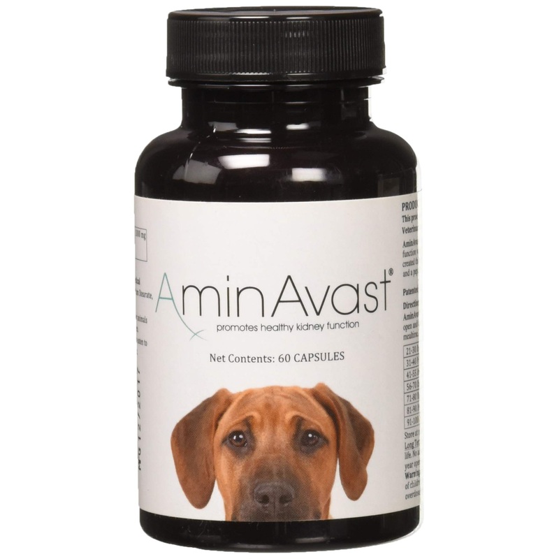 AminAvast Kidney Support Supplement for Cats and Dogs, 1000mg – Promotes Natural Kidney Function – Aids in Health and Vitality of Aging Kidneys – Easily Administered – 60 Sprinkle Capsules