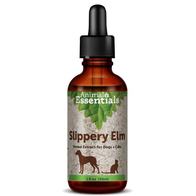 Animal Essentials Slippery Elm – Herbal Extract for Dogs and Cats, Promotes Healthy Digestion, Bowel Function, Certified Organic Herbs, All Natural, Respiratory Health, Liquid Formula – 1 Fl Oz 1 fl oz (30ml)