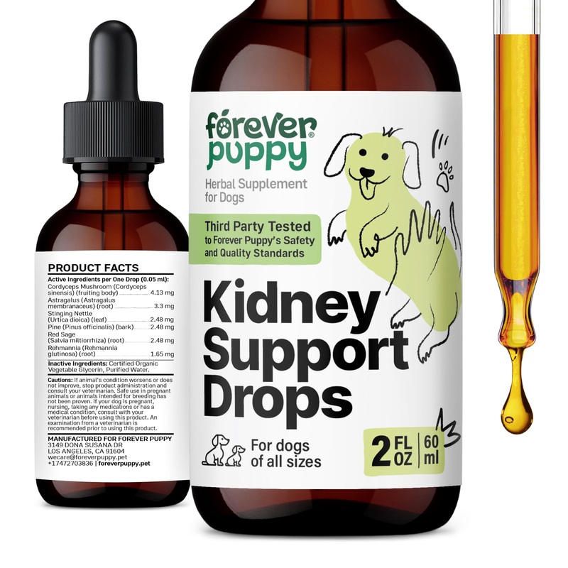 Kidney Support Drops for Dogs – Natural Kidney Care w/Cordyceps Mushroom & Stinging Nettle Leaf – Dog Food Supplements for Dogs’ Kidney Health – Liquid Pet Vitamins and Supplements – 2 oz