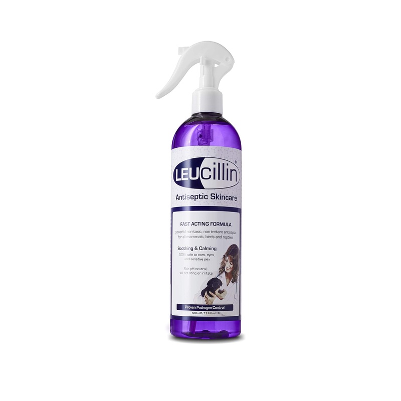 Leucillin Natural Antiseptic Spray – Antibacterial Antifungal Antiviral for Dogs Cats All Animals Itchy Skin Minor Wound Care and Skin Health | 500ml 500 ml (Pack of 1)