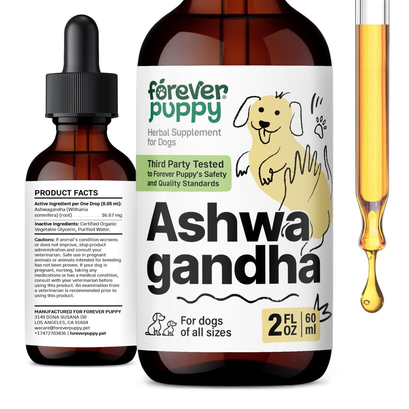 Ashwagandha Drops for Dogs – Composure & Relaxation Supplement w/Ashwagandha Root – Liquid Alternative to Dog Calming Chews – Dog Food Supplements for Calming Vibes – 2 oz