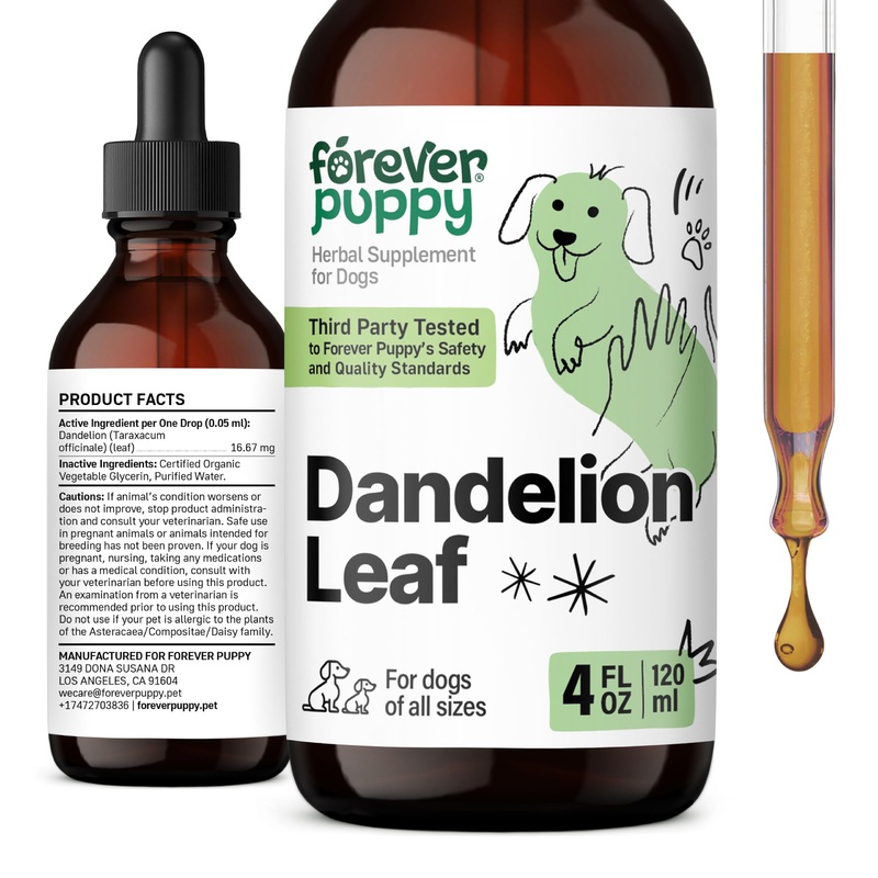 Dandelion Leaf Drops for Dogs – Kidney Health Supplement for Large, Medium & Small Dogs – Kidney Cleanse Detox Drops w/Dandelion Leaves – Dog Food Supplements for Natural Pet Kidney Support – 4 oz