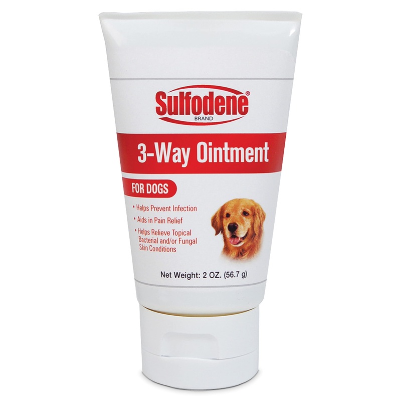 Dog Wound Care Ointment, Relieves Pain & Prevents Infection For Dog Cuts, Scrapes, Bites and Injuries, 2 Ounce