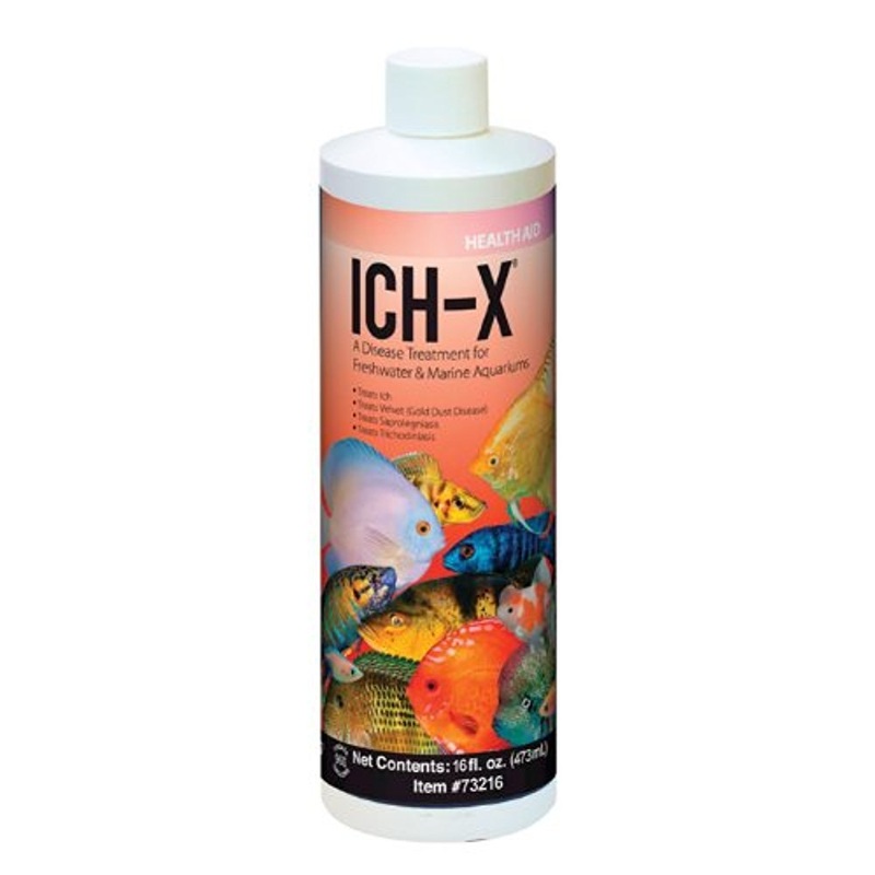 Hikari USA Inc. Ich x – Ich Treatment with More 16oz 16 oz