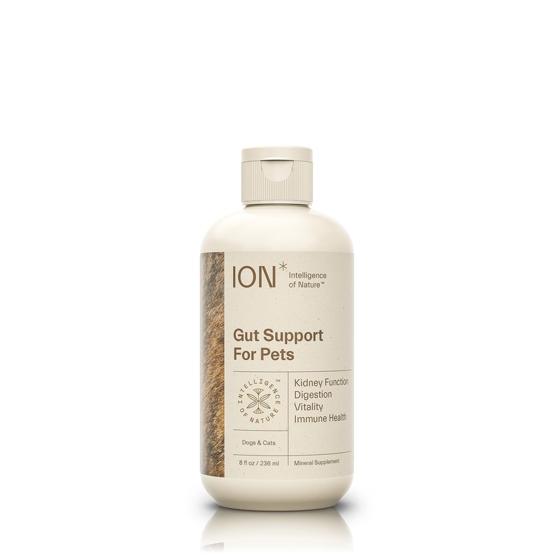 ION Intelligence of Nature Gut Support for Pets | Strengthens Digestion, Supports Kidneys, Aids Immune Function, and Defends from Food Toxins (8 Ounce) 8 Ounce