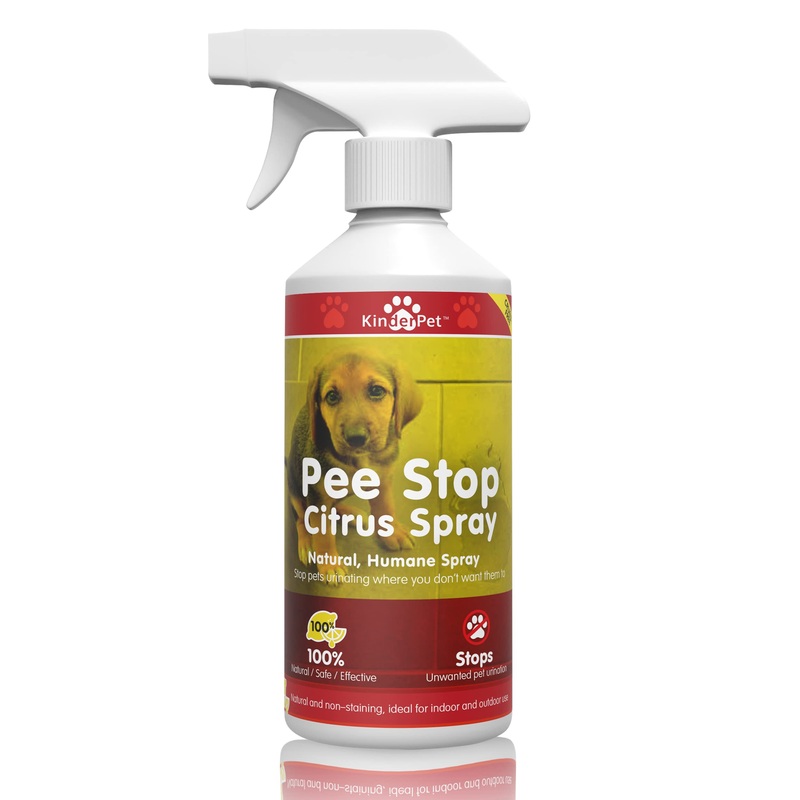 KinderPet 1 Litre Pee Stop Spray Urine Stop for Cat and Dog Repellent Stop Cats and Dogs Repeat Marking Indoors and Outdoors 100% Natural Enzyme Urine Destroyer