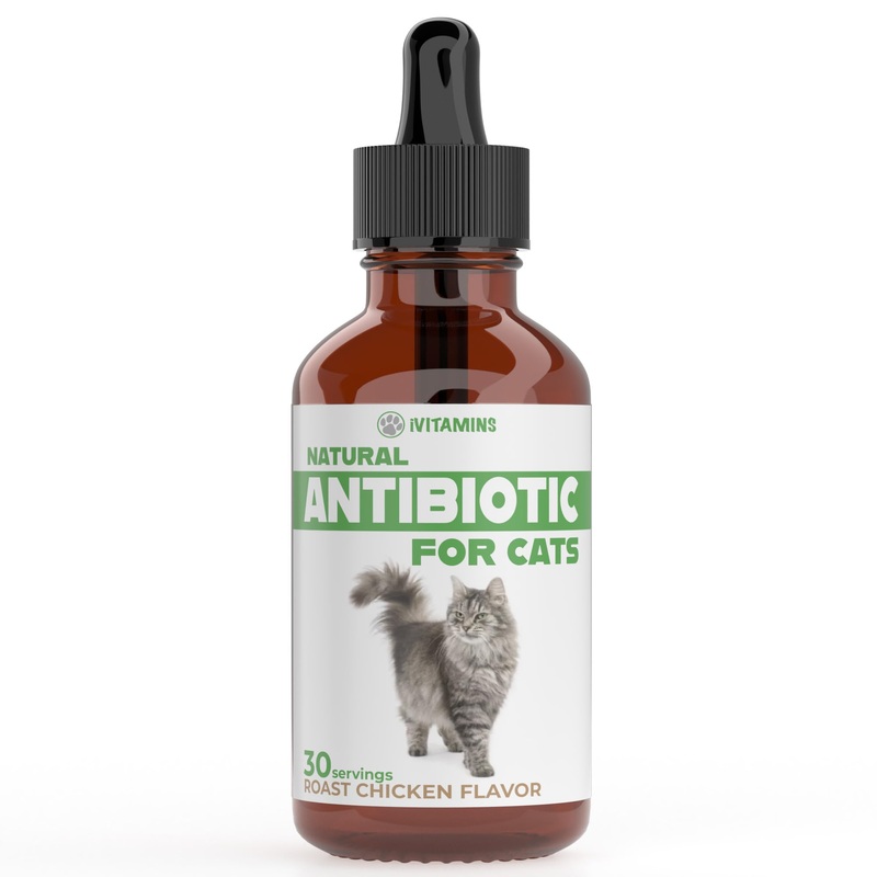 Natural Alternative Cat Antibiotic | Cat Antibiotics | Antibiotics for Cats | Antibiotic for Cats | Cat Antibiotics for UTI | Cat UTI | Cat UTI Treatment | Cat UTI Antibiotics | 1 fl oz (1)
