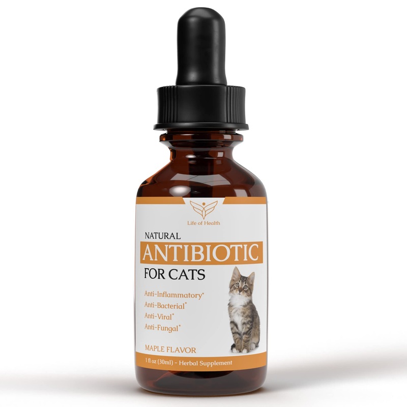 Natural Antibiotics for Cats – Cat Antibiotics – Cat Antibiotic – Pet Antibiotics – Cat Immune Support – Antibiotic for Cats – Cat Multivitamin – Cat UTI Antibiotics