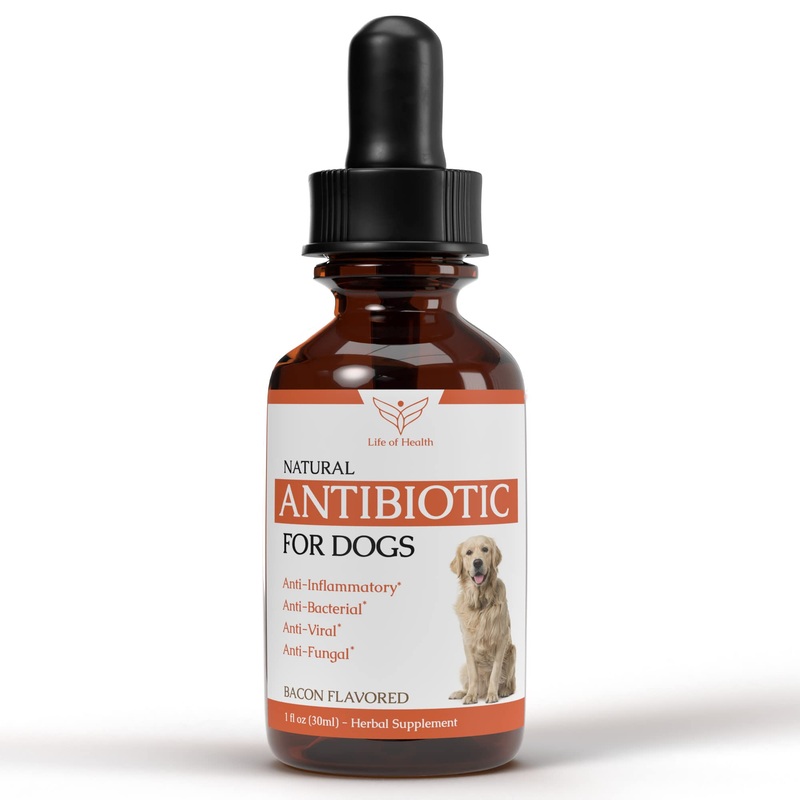 Natural Dog Antibiotics | Antibiotics for Dogs | Helps Support a Healthy Immune System | Supports Dog Allergy Relief | Dog Itch Relief | Dog Multivitamin | Pet Antibiotics | Dog Antibiotic | 1 fl oz