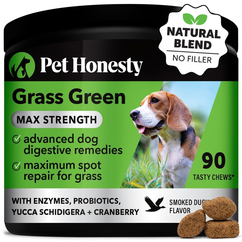 Pet Honesty Grass Green Max Strength Burn Spot Chews for Dogs – Premium Formula – Dog Pee Lawn Spot Saver Supplement Caused by Dog Urine, Dog Antioxidant with Probiotics + DL-Methionine (Duck 90 ct) Max Strength – Duck