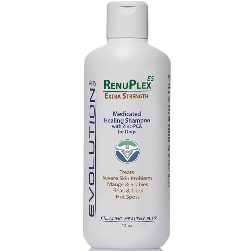 RenuPlex Medicated Dog Mange Shampoo. Extra Strength Mange Shampoo for Dogs Eliminates Mange, Dog Mites, Scabies. All Natural Dog Shampoo. Unconditional Guarantee. Made in USA