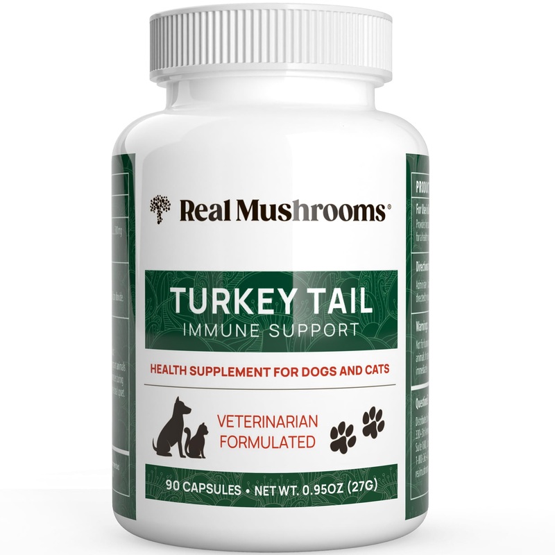 Turkey Tail Pet Support – Dog Multivitamins and Supplements for Immune Support, Gut Health & Wellness – Grain-Free, Gluten-Free, Vet-Approved Dog Supplement (90ct) Turkey Tail Mushrooms Pet