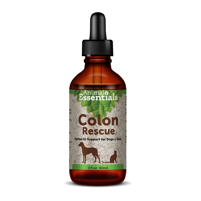 Animal Essentials Colon Rescue Herbal GI Support for Dogs & Cats (Various Sizes) – Made in USA Digestive Aid, Phytomucil Blend 1-Pack