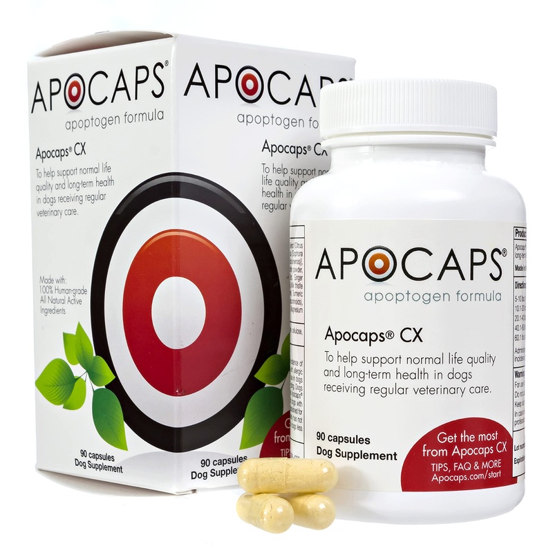 Apocaps CX Apoptogen Formula for Dogs , 90 Count (Pack of 1)
