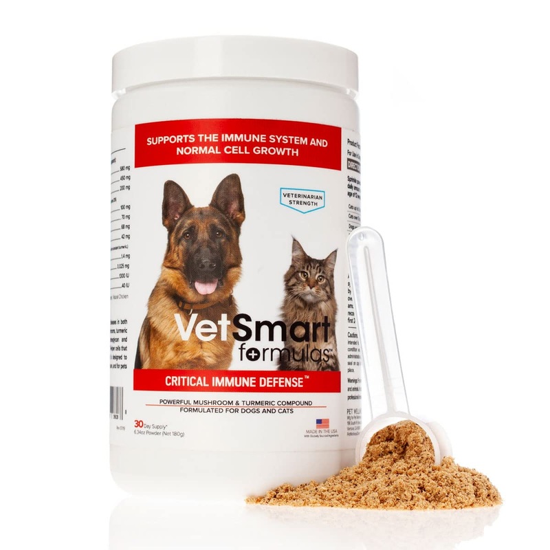 Critical Immune Defense for Dogs & Cats; Supports Normal Cell Growth – Turkey Tail, Reishi, Shiitake and Maitake Mushroom Formula with Patented White Turmeric Root Extract Pack of 1
